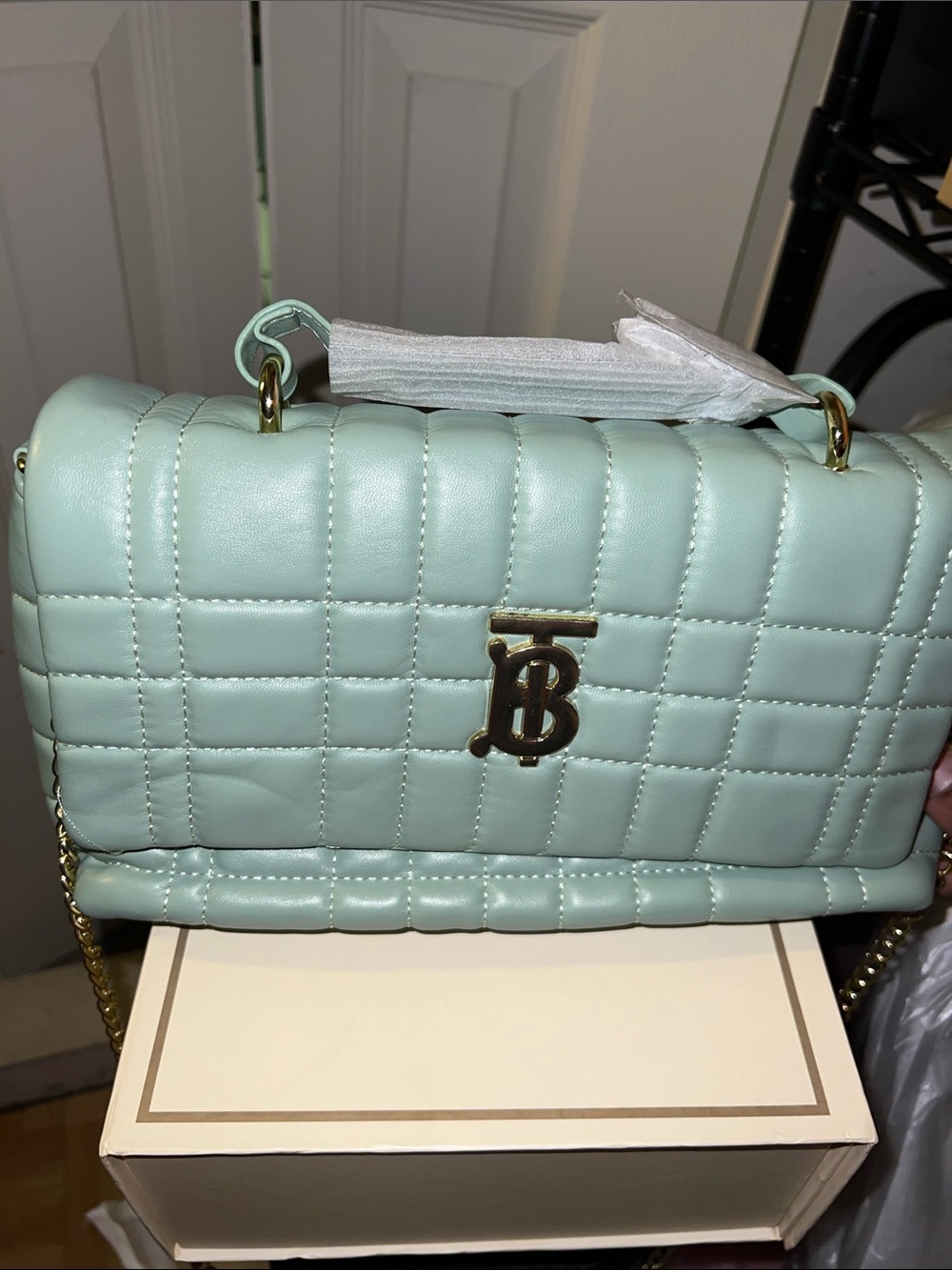 Quilted Logo Crossbody Bag in Mint Green with Gold Hardware